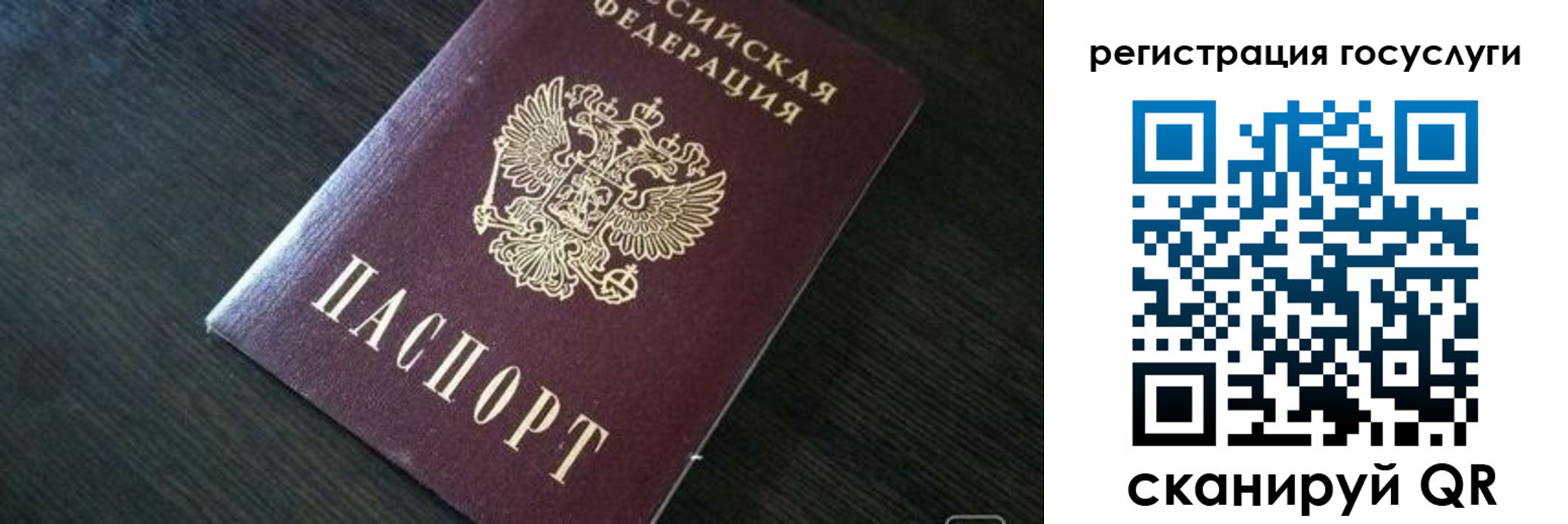 прописка ребенка в Кудрово
